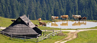 Kamniske Alpe Slovenia 0756