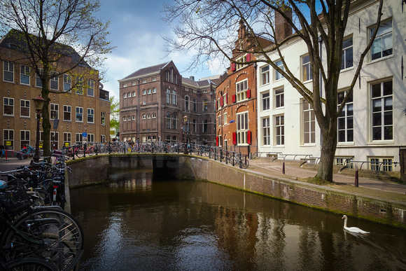 Amsterdam Netherlands-3182