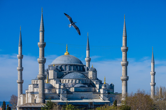 Istanbul Turkey-6511