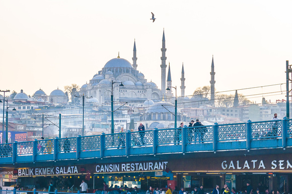 Istanbul Turkey-6754