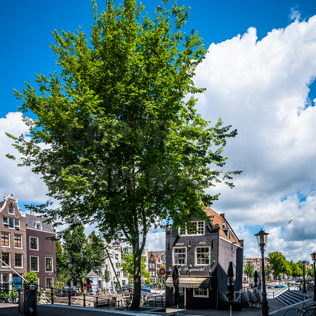 Amsterdam Netherlands-9243