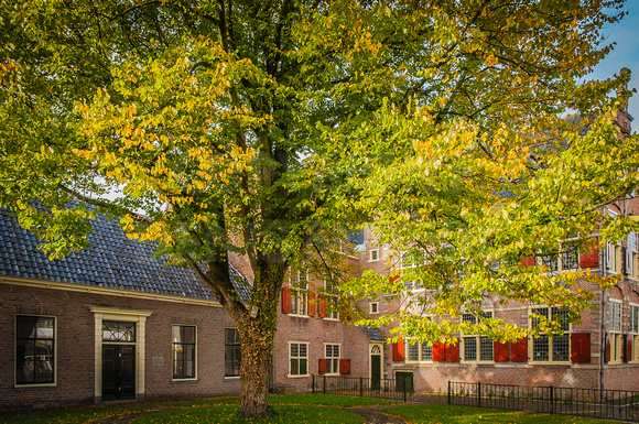 Alkmaar Netherlands-6979